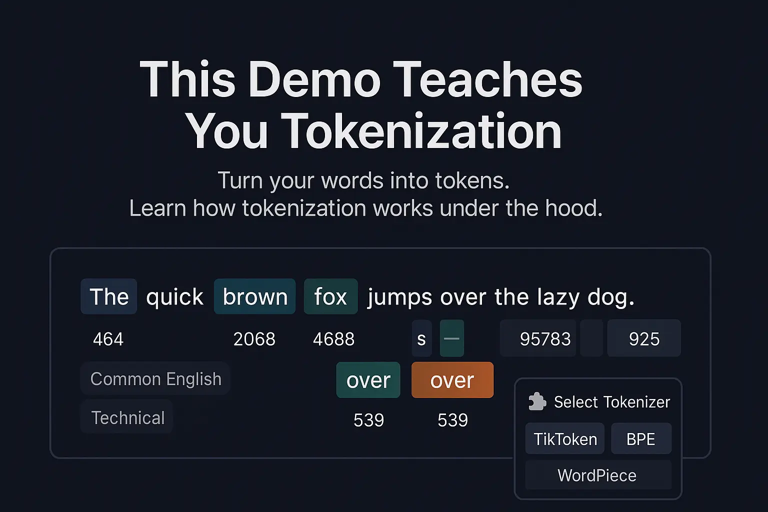 Tokenizer Demo
